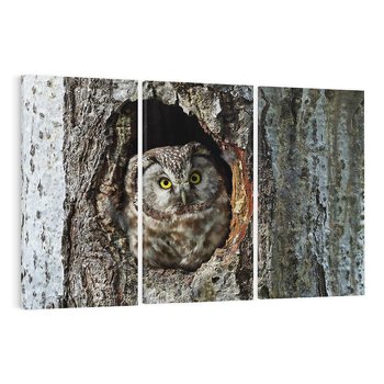 Obraz na płótnie 120x80 - Tajemniczy W świecie Nocy - sowa, dziupla