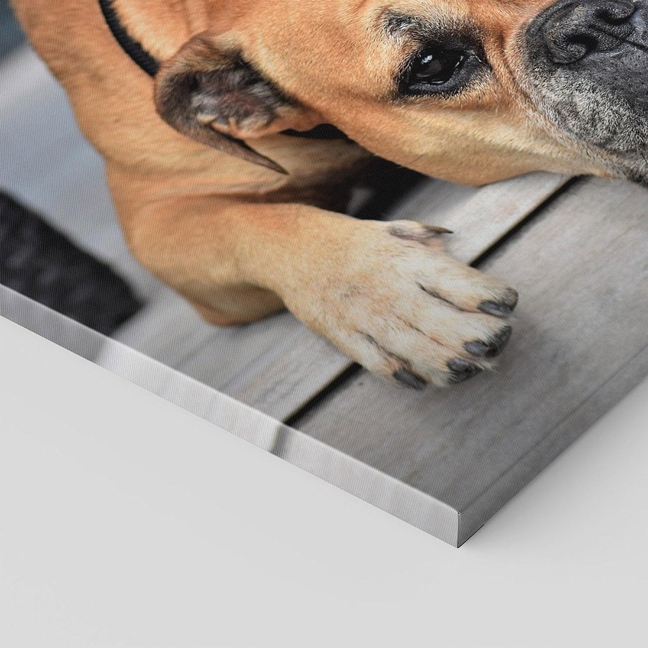 Obraz na płótnie 120x80 - Wernisaż piesek i zwierzaki - pies, piesek