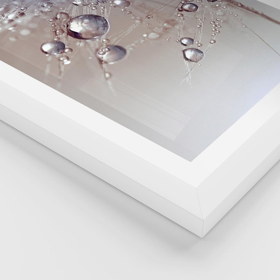 Plakat w ramie 30x40 - Delikatne Natchnienie - krople, dmuchawce - rama biała