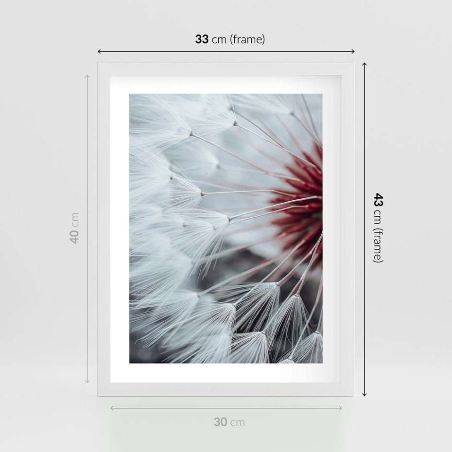 Plakat w ramie 30x40 - Makro Magii Natury - dmuchawiec, zbliżenie makro - rama biała