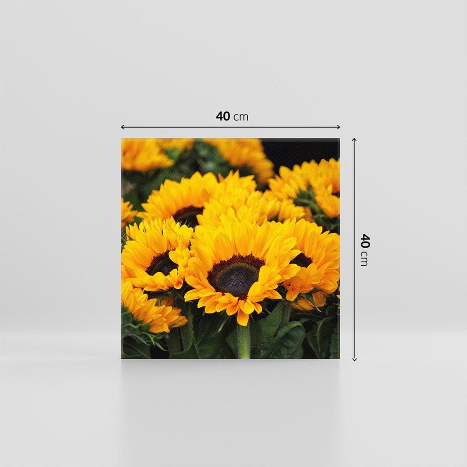 Obraz na płótnie 40x40 - promień słoneczny w kwiatowym świecie - słoneczniki, kwiat