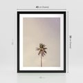 Plakat w ramie 40x50 - Samotna Palma pod Niebem - samotna palma, na tle nieba - rama czarna