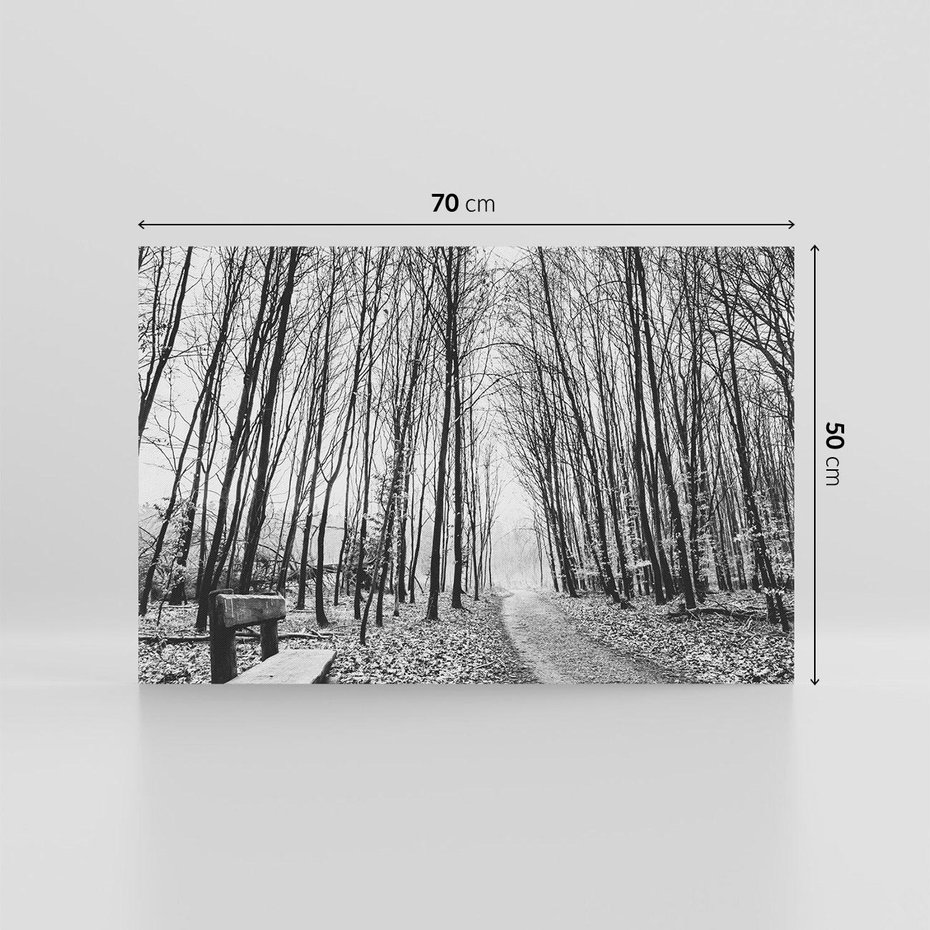 Obraz na płótnie 70x50 - Spadające Liście - czarno białe zdjecie, park