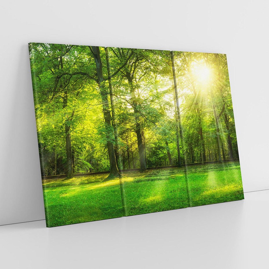 Obraz na płótnie 120x80 - Moc lasu - las, drzewa