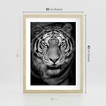 Plakat w ramie 30x40 - Tygrys Czarno-Biały: Siła i Delikatność - tygrys, czarno - rama drewno