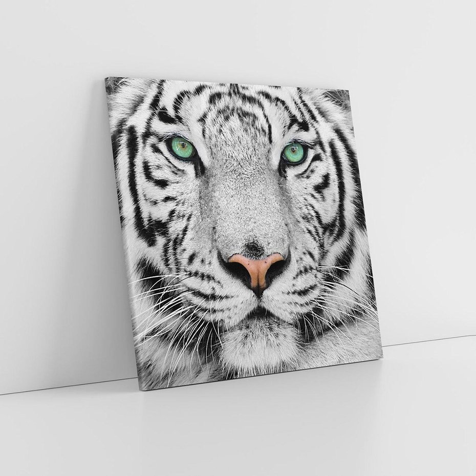 Obraz na płótnie 60x60 - Magia Białego Tygrysa - biały, tygrys