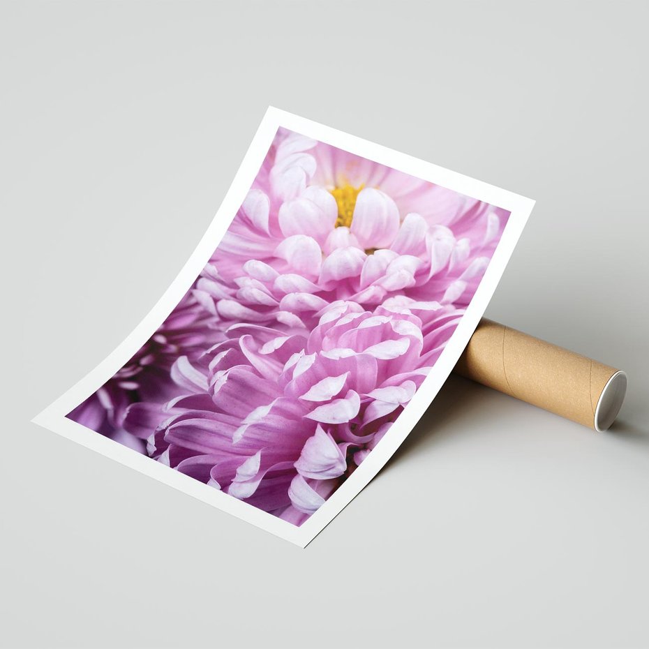 Plakat bez ramy 21x30 - Fioletowy zawrót głowy - kwiat, różowy kwiat