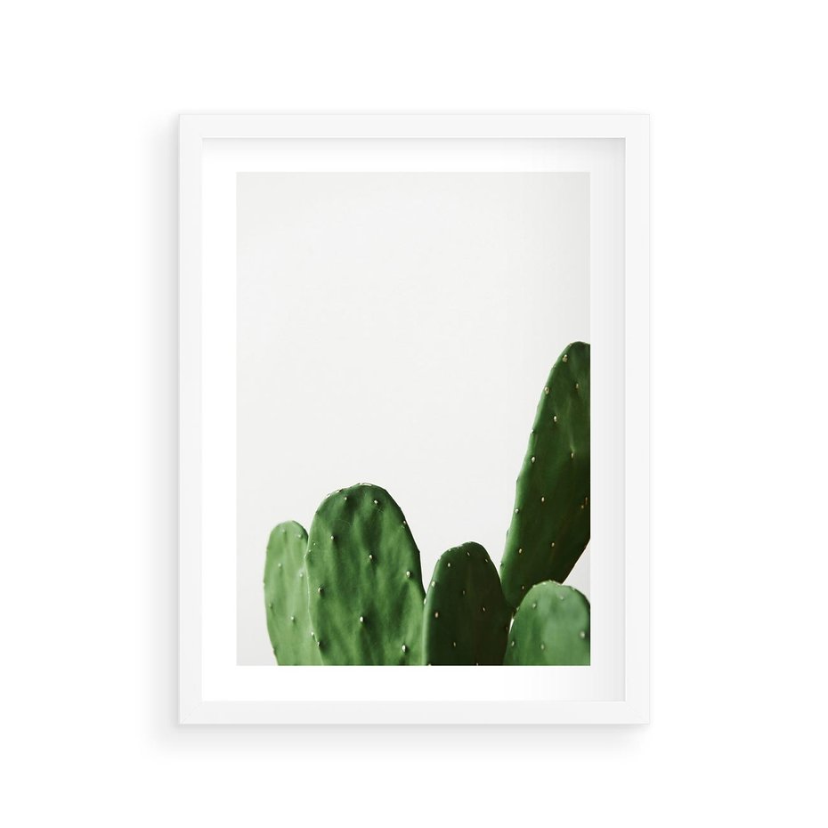 Plakat w ramie 30x40 - Minimalizm Natury - kaktus, zbliżenie - rama biała