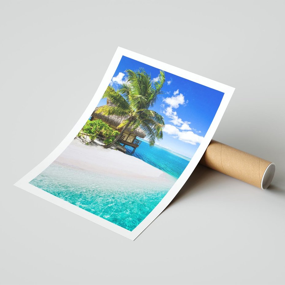 Plakat bez ramy 50x70 - Zaklęte palmy tropików - palmy, ocean