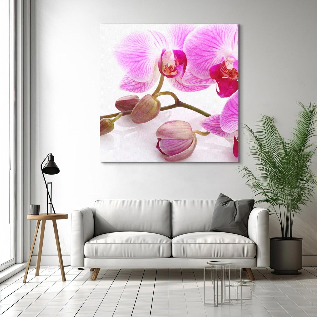 Obraz na płótnie 50x50 - Elegancka orchidea w pełnym rozkwicie - orchidea, kwiat