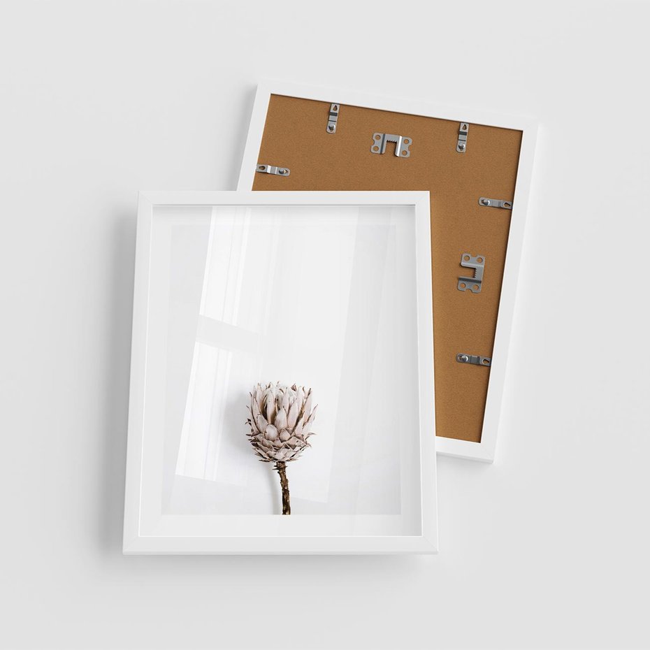 Plakat w ramie 40x50 - Suszona Roślina na Białym Tle - minimalizm, suszona roślina - rama biała