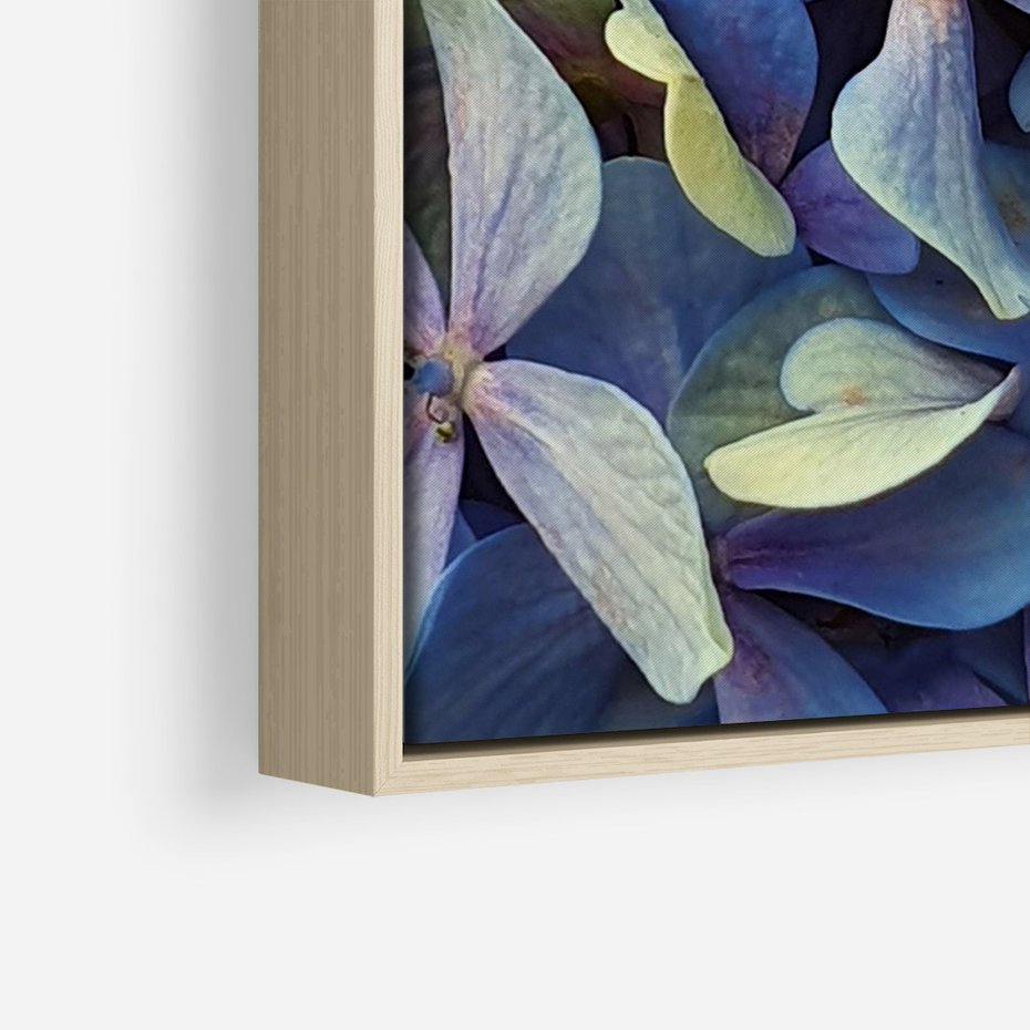 Obraz w ramie 50x70 - Hortensja - delikatność kwiatów - hortensja, kwiaty - rama drewno