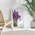Plakat bez ramy 21x30 - Pola lawendy w pełnym rozkwicie - lawenda, kwiaty
