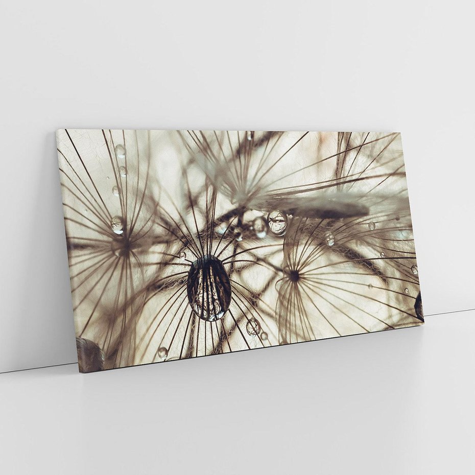 Obraz na płótnie 120x60 - Lekkie dmuchawce - dmuchawce, krople