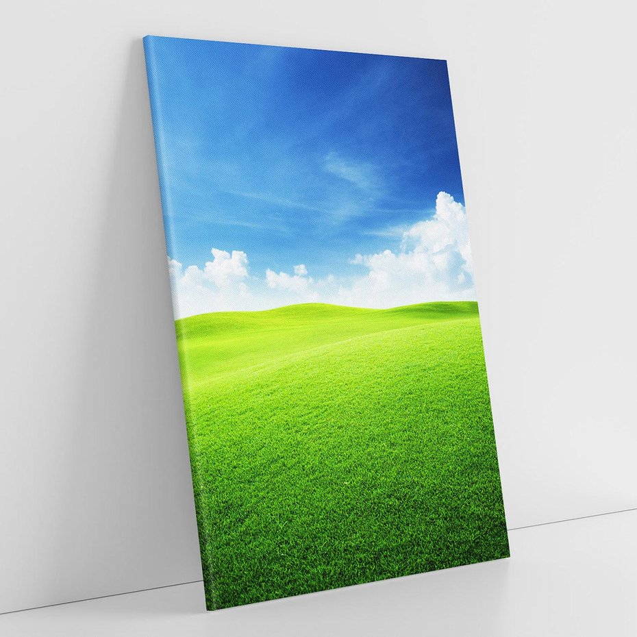 Obraz na płótnie 80x120 - Łąka pod Niebem - łąka, niebo