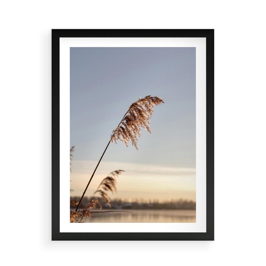 Plakat w ramie 50x70 - Naturalna Delikatność - trawy, boho - rama czarna