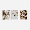 Zestaw obrazy w ramie 40x50 galeria - Kwiaty, róże, kawa - rama biała