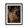 Plakat w ramie 40x50 - Delikatne Detale - paprocie, brąz - rama czarna