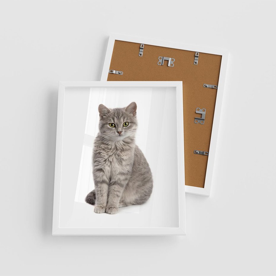 Plakat w ramie 40x50 - Kocie uroki na płótnie - kot, kotek - rama biała