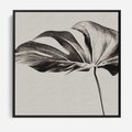 Obraz w ramie 50x50 - Szepczący Liść - szkic, czarno biały - rama czarna