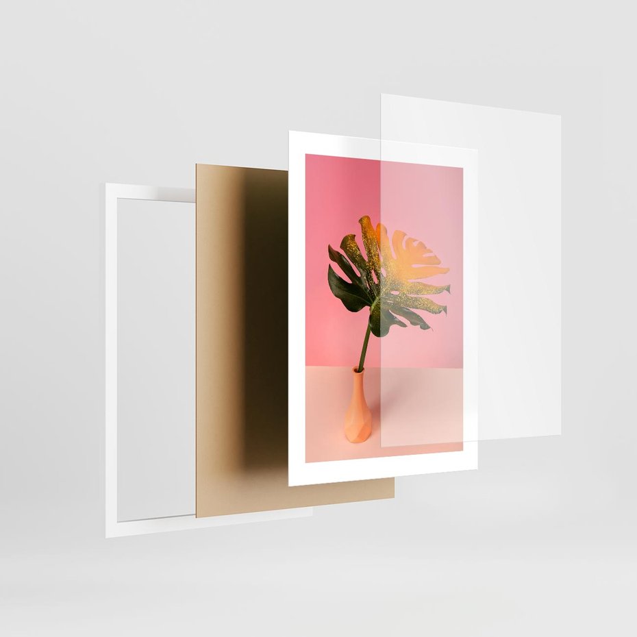 Plakat w ramie 30x40 - Egzotyczna monstera - monstera, liść - rama biała