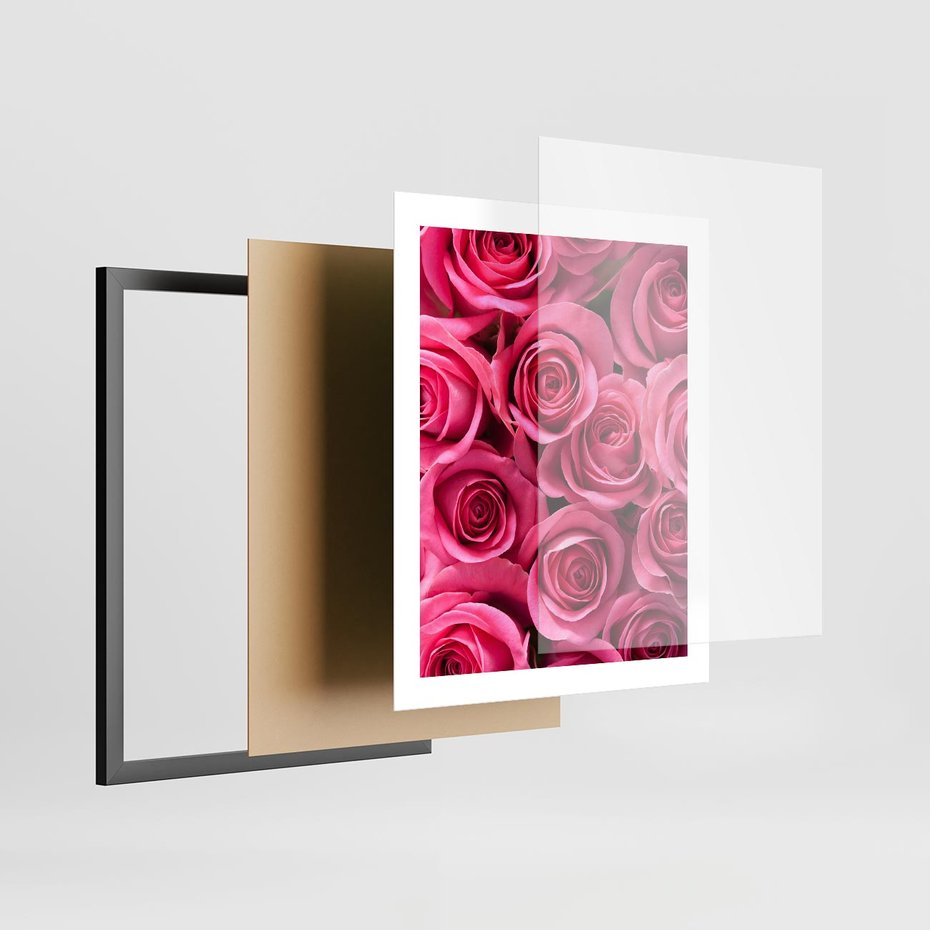 Plakat w ramie 40x50 - Romantyczne róże w pełnym rozkwicie - róże, kwiaty - rama czarna