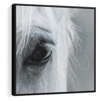 Obraz w ramie 50x50 - Oko Mocy - czarno białe zdjęcie, zbliżenie makro na oko konia - rama czarna