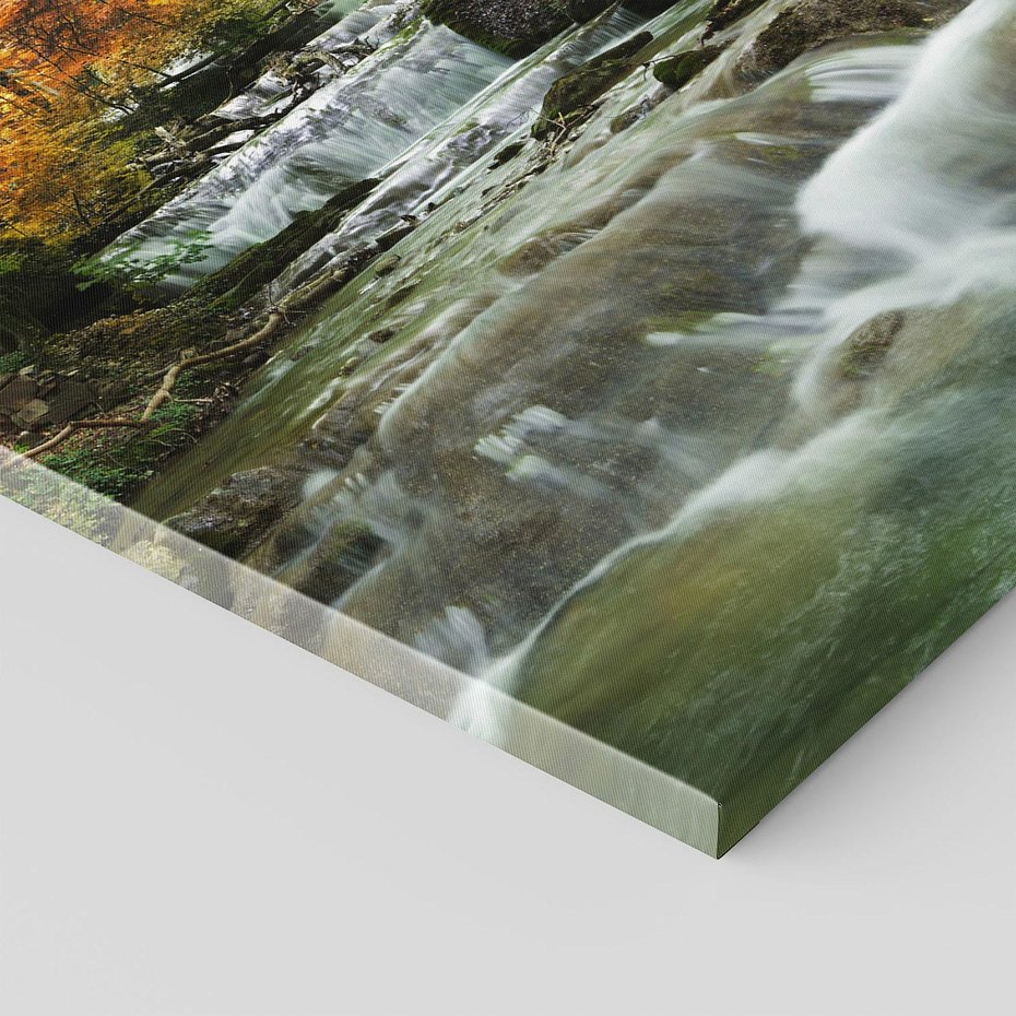 Obraz na płótnie 80x120 - Urok lasu: drzewa i strumyk w harmonii - las, drzewa