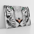 Obraz na płótnie 120x80 - Magia Białego Tygrysa - biały, tygrys