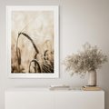 Plakat bez ramy 30x40 - Źdźbło Pszenicy: Blisko Natury - źdźbło pszenicy, pszenica