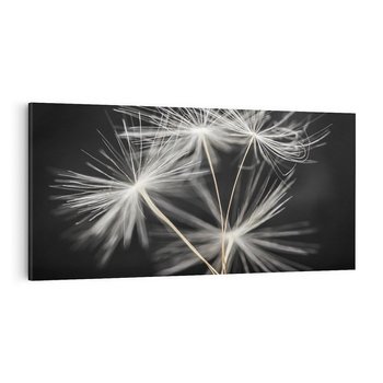 Obraz na płótnie 100x50 - Delikatność dmuchawców zbliżenie - dmuchawce, zbliżenie