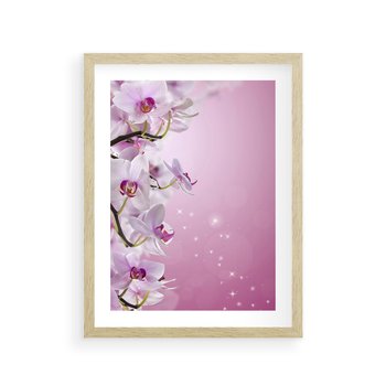 Plakat w ramie 40x50 - Relaksujące Piękno - kwiaty, orchidea - rama drewno