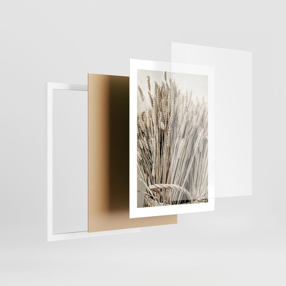 Plakat w ramie 30x40 - Letni Plon - zboże, kłosy zboża - rama biała