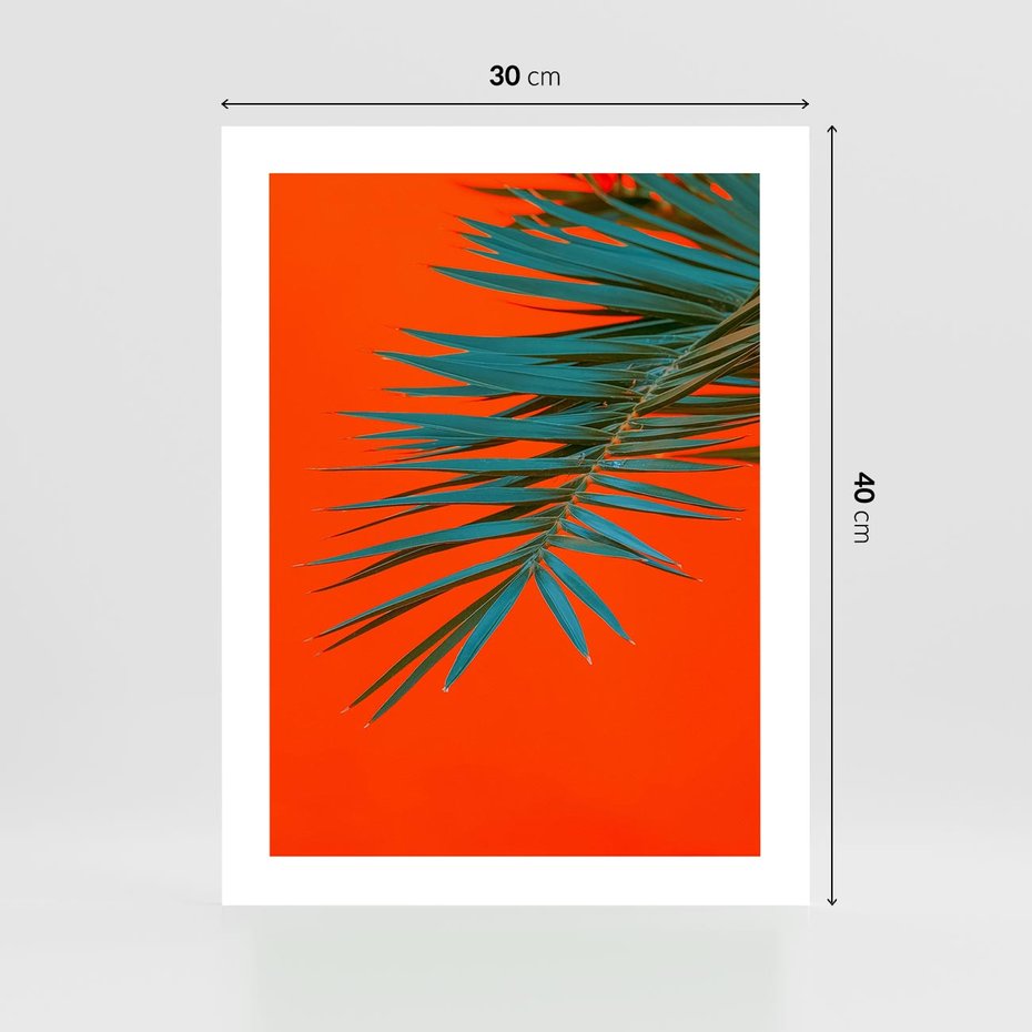 Plakat bez ramy 30x40 - Egzotyczny Urok - liście, palma