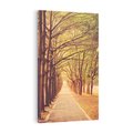 Obraz na płótnie 70x100 - Wędrówka między drzewami - droga, drzewa