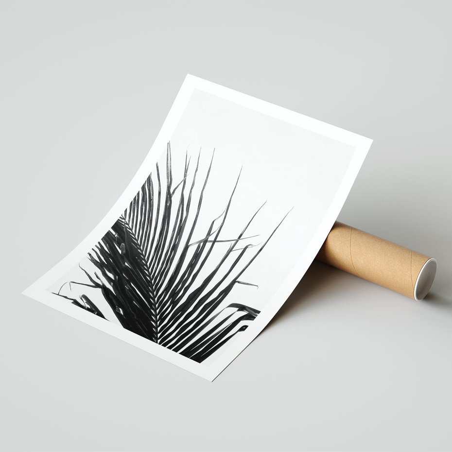 Plakat bez ramy 50x70 - Sztuka Natury: Monochromatyczna Palma - palma, czarno białe zdjęcie