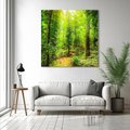 Obraz na płótnie 40x40 - Współistnienie z naturą - drzewa, las