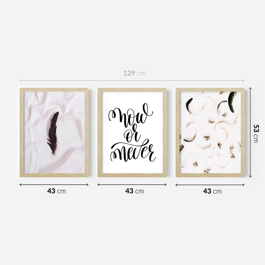 Zestaw obrazy w ramie 40x50 galeria - Cytat, motywacyjny, pióra, boho - rama drewno