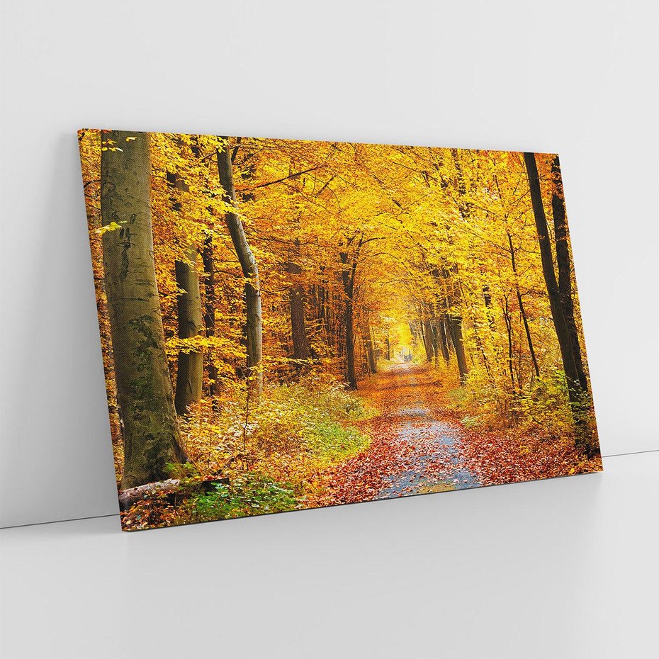 Obraz na płótnie 120x80 - Jesień w lesie - las, drzewa