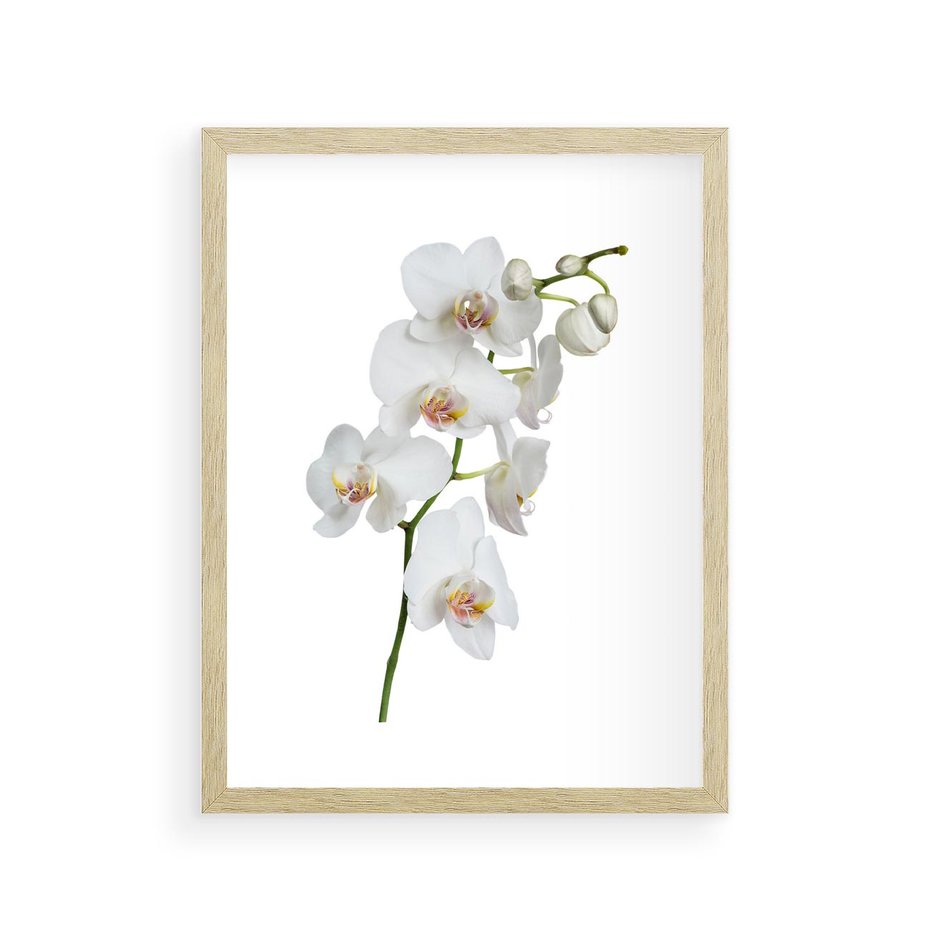 Plakat w ramie 30x40 - Ekskluzywny Relaks - storczyk, spa - rama drewno