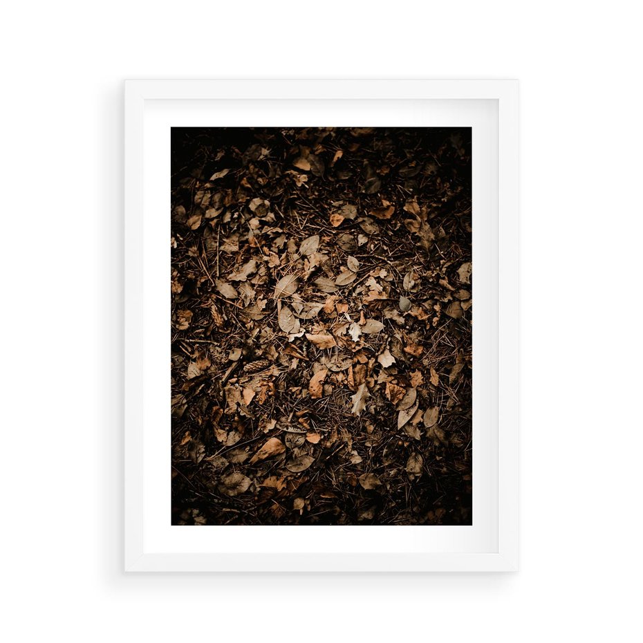 Plakat w ramie 40x50 - Brązowe Liście w Scenerii - suche liście jesień brąz - rama biała
