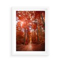 Plakat w ramie 50x70 - Magia jesiennego lasu - las, jesień - rama biała