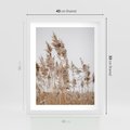 Plakat w ramie 40x50 - Boho Urok - trawy, pampas - rama biała