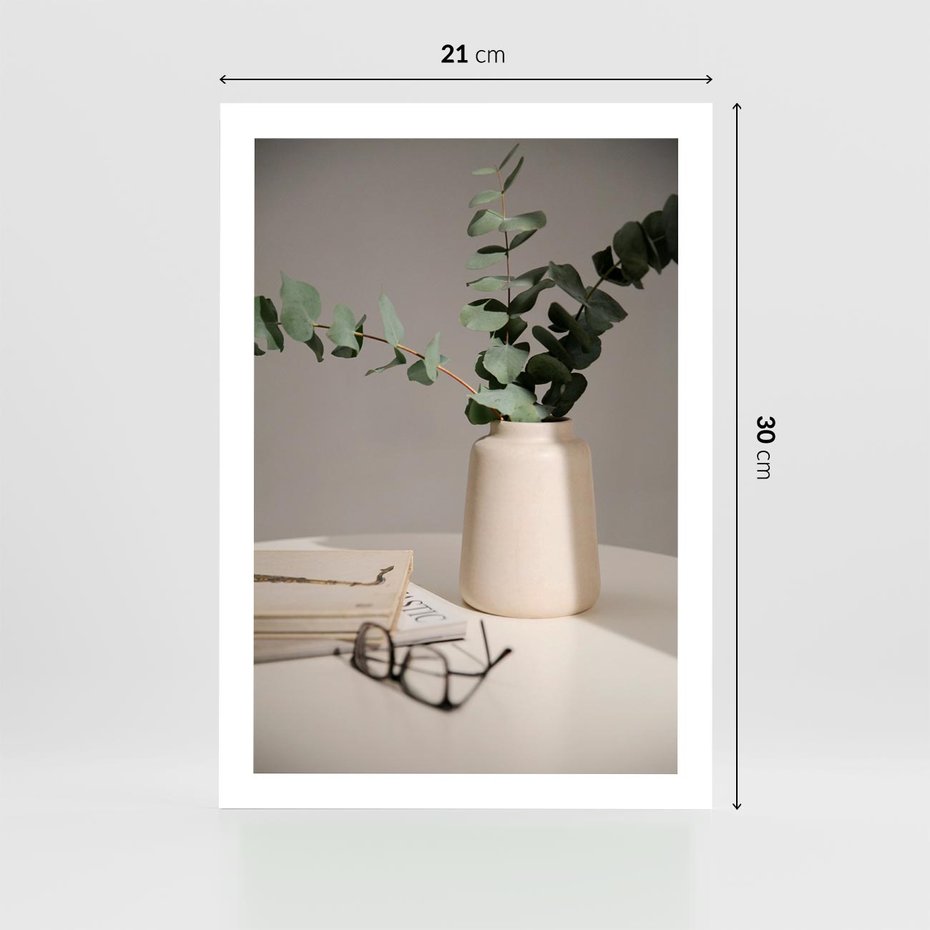 Plakat bez ramy 21x30 - Eukaliptusowe liście w okularach - liście, eukaliptus