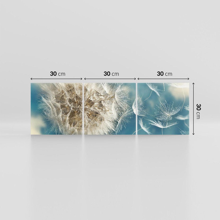 Obraz na płótnie 90x30 - Delikatność dmuchawców w pejzażu - dmuchawiec, kwiaty