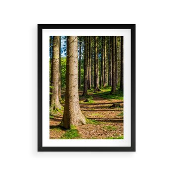 Plakat w ramie 30x40 - Las: harmonia natury - las, drzewa - rama czarna