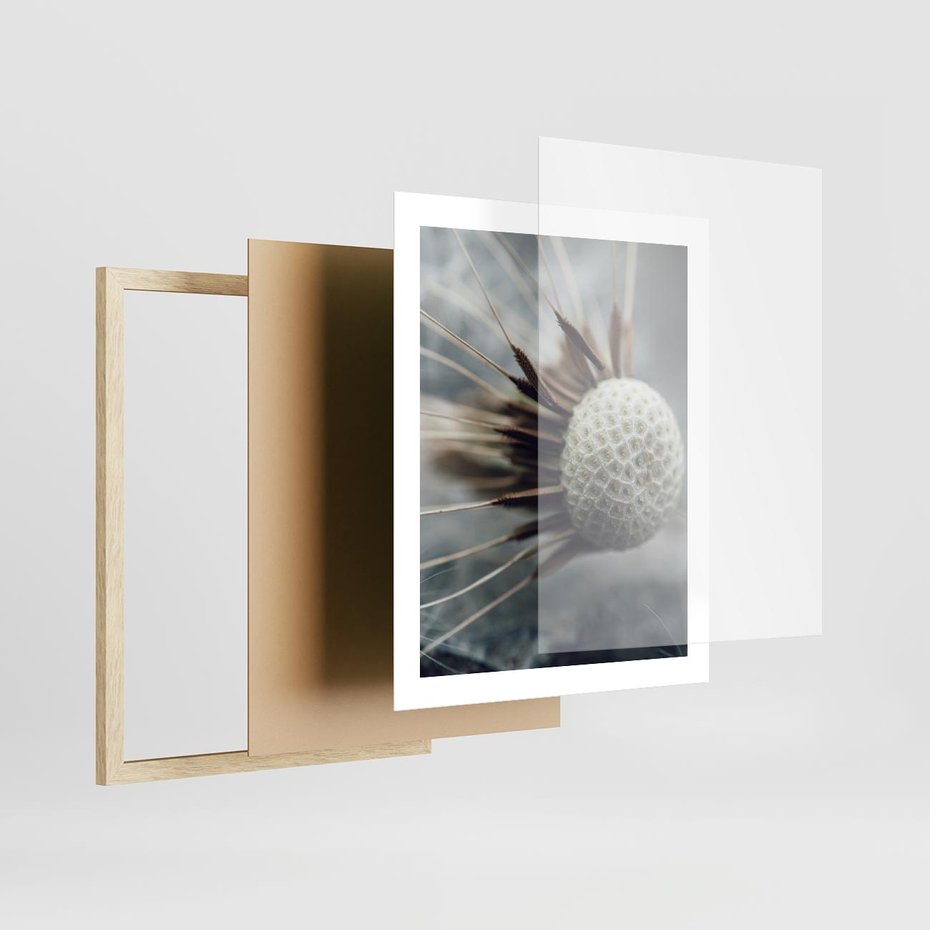 Plakat w ramie 40x50 - Makro Dmuchawiec - dmuchawiec, zbliżenie - rama drewno