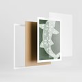 Plakat w ramie 50x70 - Migotliwe Wibracje Zieleni - zielony plakat, abstrakcja przypominająca rybę - rama biała