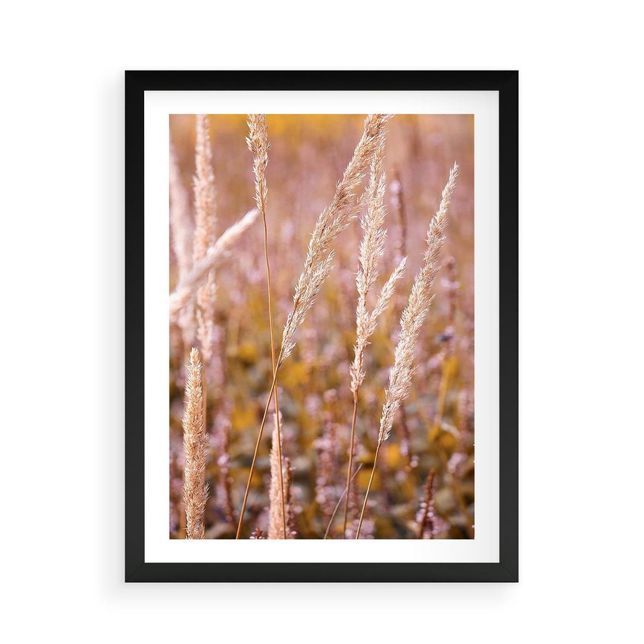 Plakat w ramie 50x70 - Sucha Trawa w Sierpniu - trawy, łąka - rama czarna