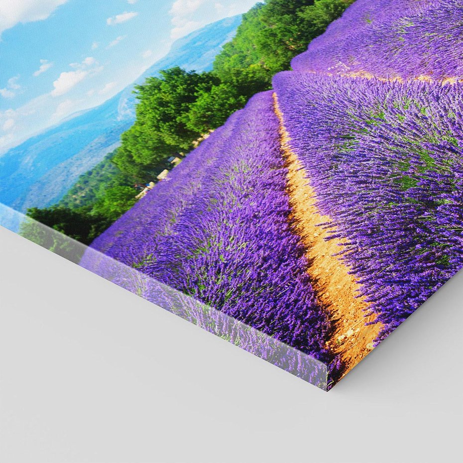 Obraz na płótnie 40x40 - Prowansalska Lawenda - lawenda, prowansja